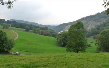 Maison - image - 2