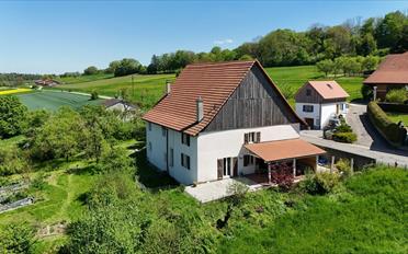 Reihenfamilienhaus 4.5 Zimmer - image - 12