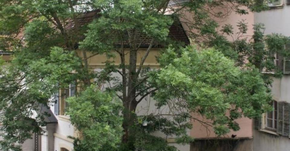 Porrentruy