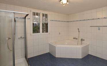 Single house 7 rooms - image - 11
