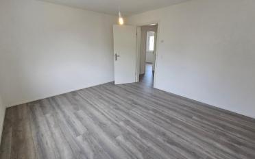 Doppeleinfamilienhaus 5.5 Zimmer - image - 10