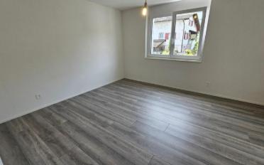 Doppeleinfamilienhaus 5.5 Zimmer - image - 11