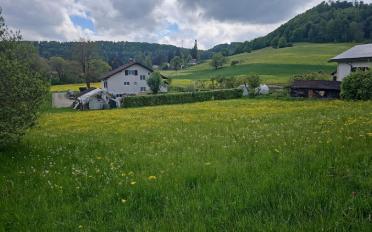 Bauland - image - 3