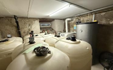 Immeuble mixte - image - 11