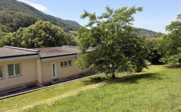 Single house 8 rooms - image - 4