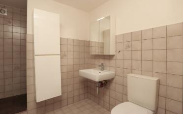 Single house 6.5 rooms - image - 7