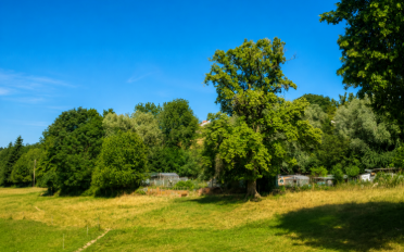 Bauland - image - 1