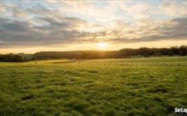 Building land - image - 1