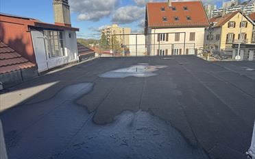 Maison 12.5 pièces - image - 13