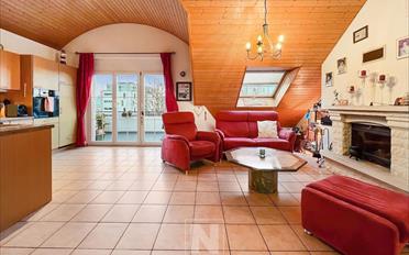 Appartement 4.5 pièces - image - 1