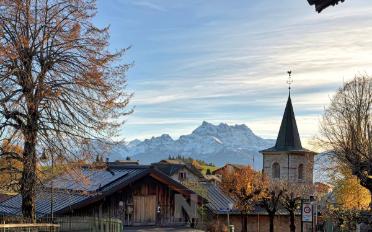Chalet 7 rooms - image - 1