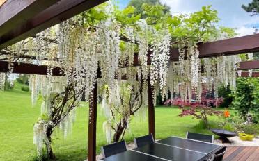 Single house 6 rooms - image - 7