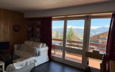 Wohnung 3 Zimmer - image - 1