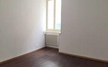 Büro 3.5 Zimmer - image - 4