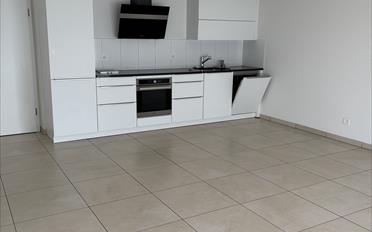 Appartement 2.5 pièces - image - 7