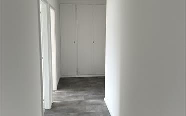 Wohnung 2.5 Zimmer - image - 4