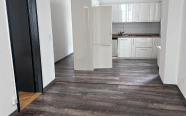 Apartment 3.5 rooms - image - 5