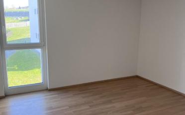Appartement 4.5 pièces - image - 7