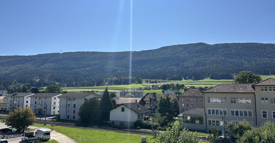 Malleray