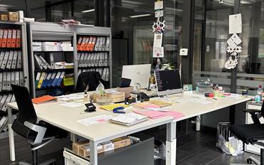 Wohnung 7 Zimmer - image - 6