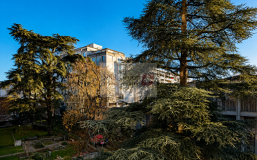 Wohnung 5 Zimmer - image - 1