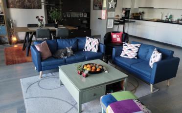 Appartement 3.5 pièces - image - 2