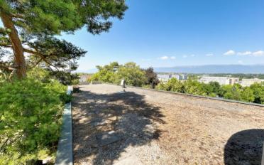 Villa 8 Zimmer - image - 9