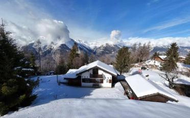 Chalet 4.5 rooms - image - 2