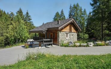 Chalet 4.5 rooms - image - 1