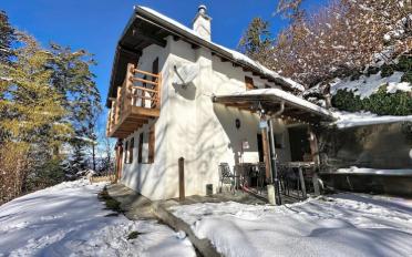 Chalet 3.5 pièces - image - 2
