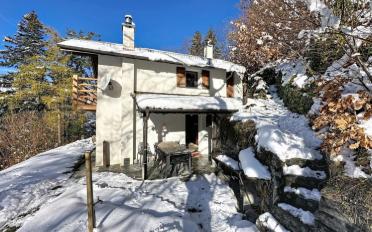 Chalet 3.5 pièces - image - 3