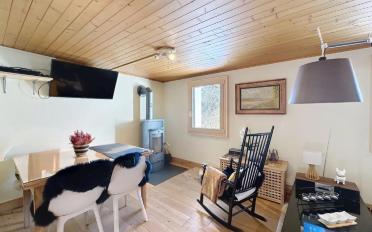 Chalet 3.5 pièces - image - 10