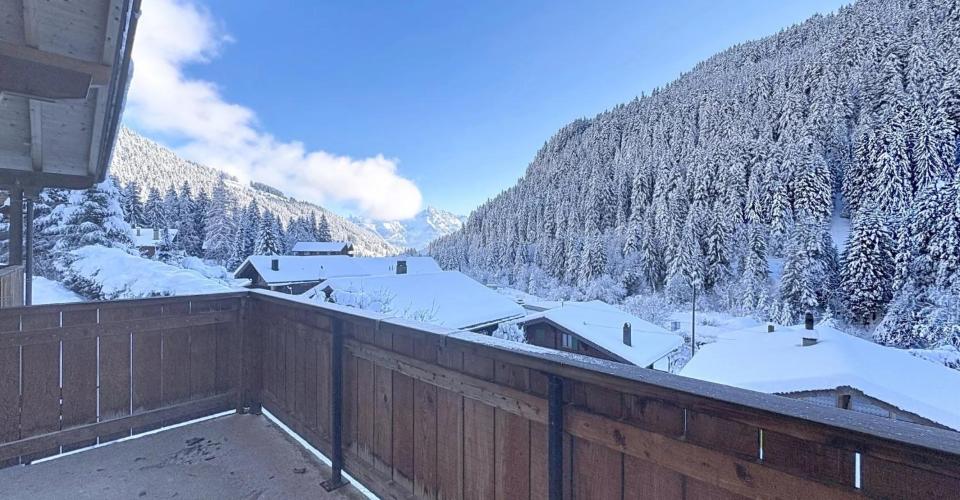 Morgins
