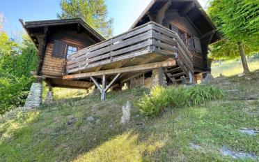 Chalet 4 Zimmer - image - 11