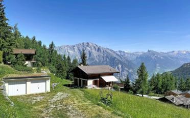 Chalet 6 pièces - image - 2