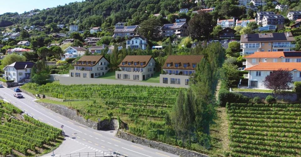 Chardonne