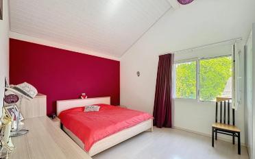 Villa 8 Zimmer - image - 3