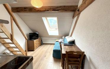Gemischt genutzte Immobilie 7 Zimmer - image - 10