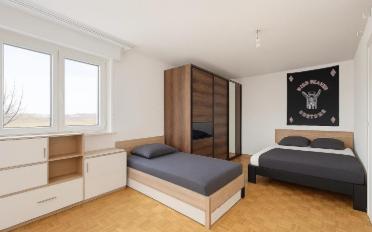Einfamilienhaus 11.5 Zimmer - image - 6