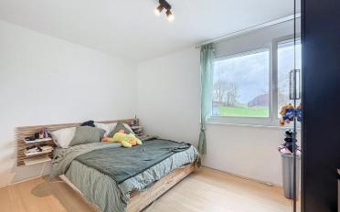 Single house 10 rooms - image - 6