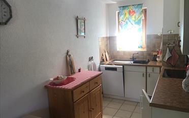 Duplex 3.5 Zimmer - image - 6