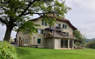 Immeuble mixte - image - 1