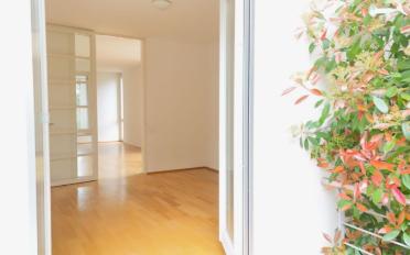 Terrassenwohnung 3.5 Zimmer - image - 7
