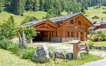 Chalet 4.5 Zimmer - image - 1