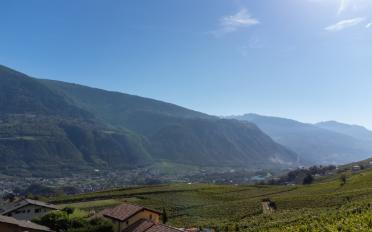 Wohnung 5.5 Zimmer - image - 4