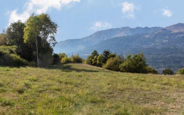 Attikawohnung 6.5 Zimmer - image - 4