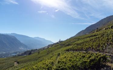 Apartment 4.5 rooms - image - 4