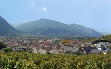 Wohnung 3.5 Zimmer - image - 4