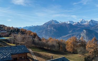 Attikawohnung 4.5 Zimmer - image - 4