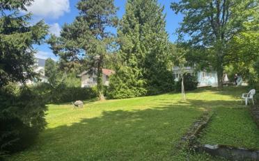 Bauland 5.5 Zimmer - image - 6